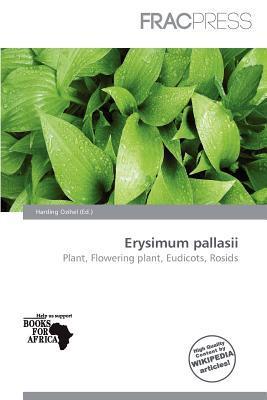 Erysimum pallasii