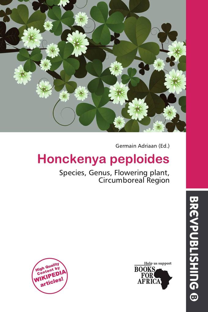 Honckenya peploides