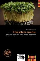 Equisetum arvense