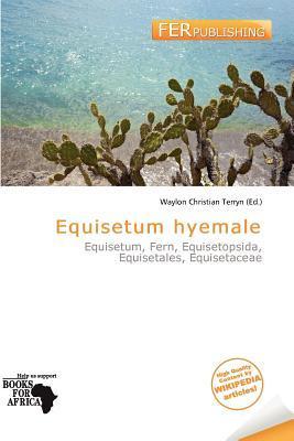 Equisetum hyemale