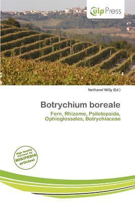 Botrychium boreale