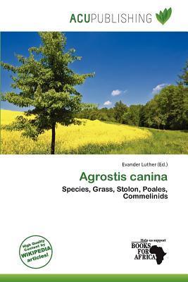Agrostis canina