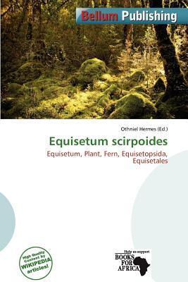 Equisetum scirpoides