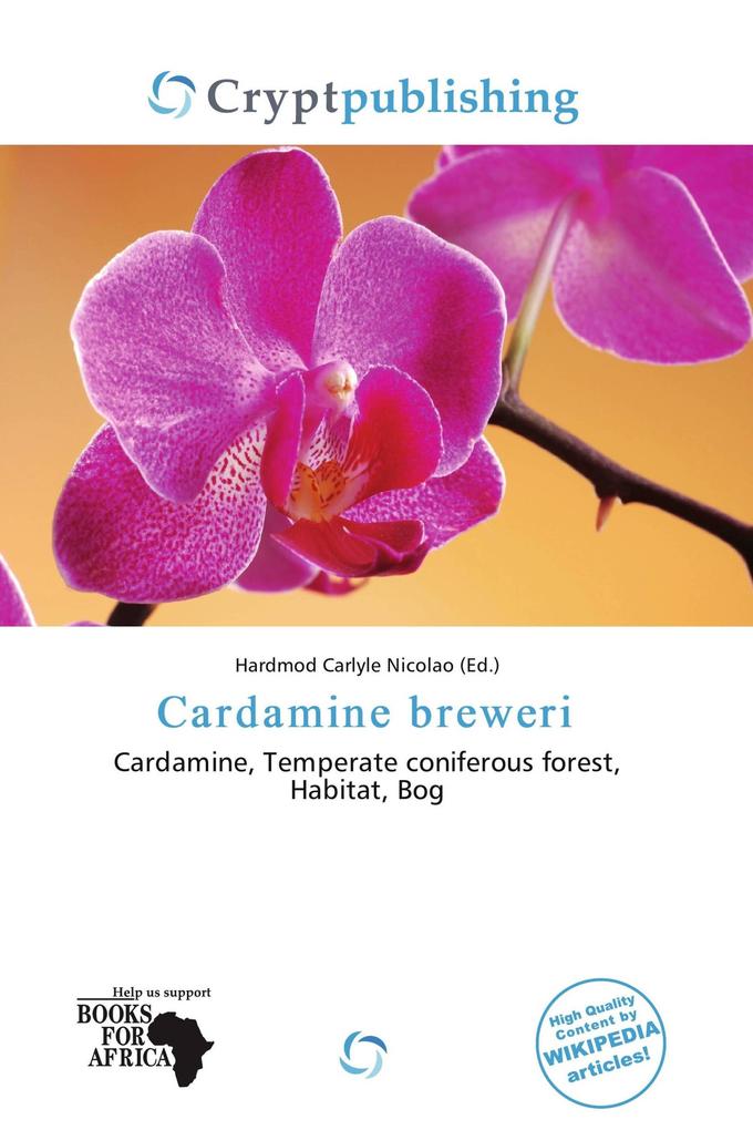 Cardamine breweri