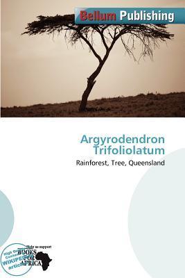Argyrodendron Trifoliolatum