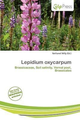 Lepidium oxycarpum