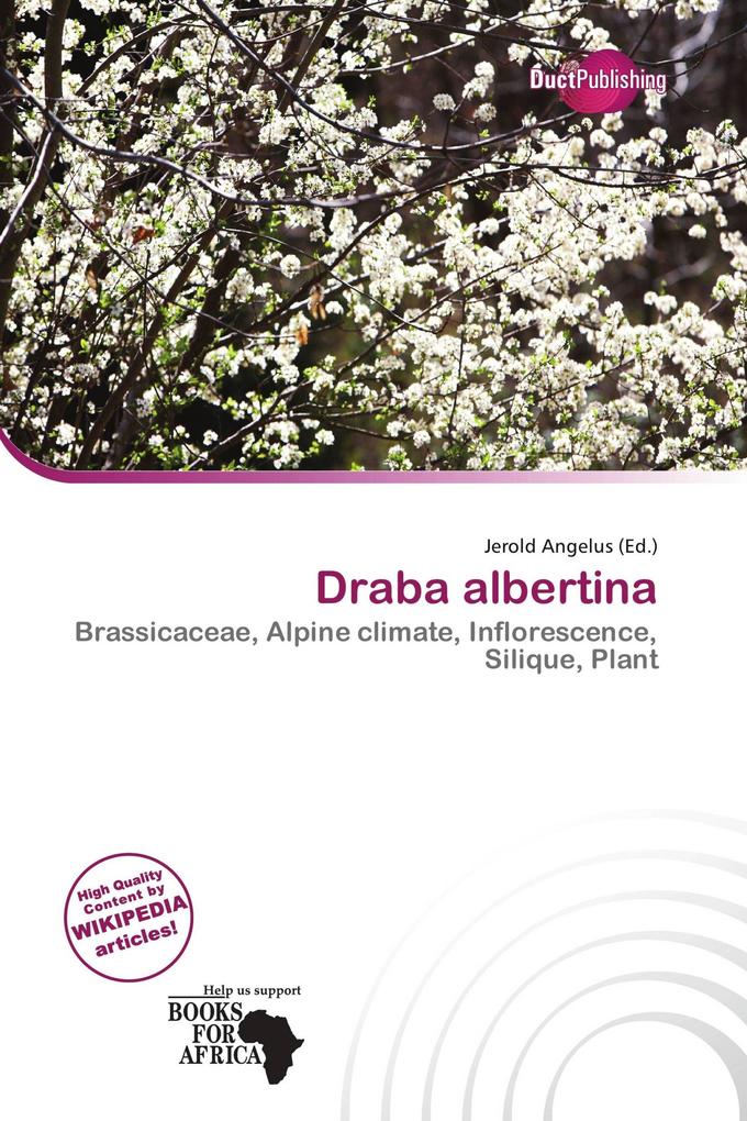 Draba albertina