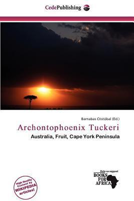 Archontophoenix Tuckeri