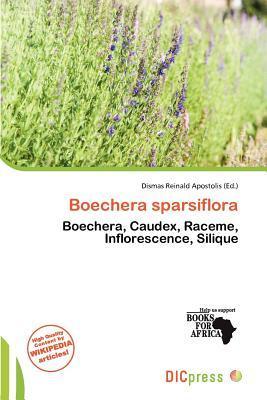 Boechera sparsiflora