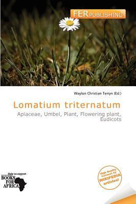 Lomatium triternatum