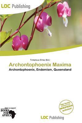 Archontophoenix Maxima