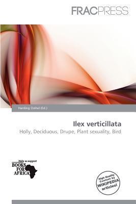 Ilex verticillata