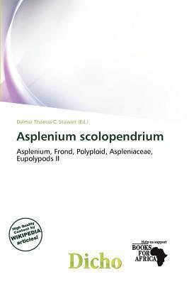 Asplenium scolopendrium
