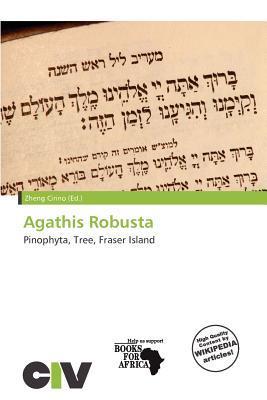 Agathis Robusta