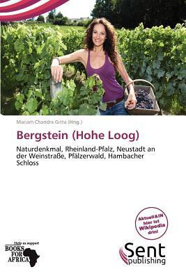 Bergstein (Hohe Loog)