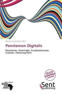 Penstemon Digitalis