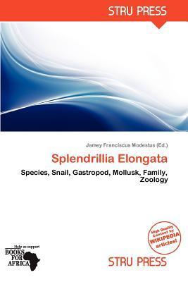 Splendrillia Elongata