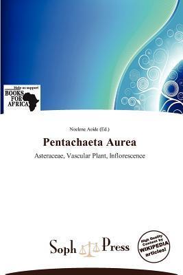 Pentachaeta Aurea