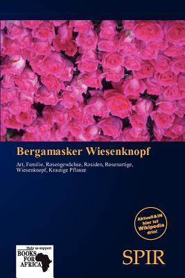 Bergamasker Wiesenknopf