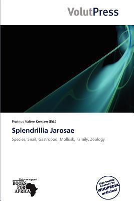 Splendrillia Jarosae
