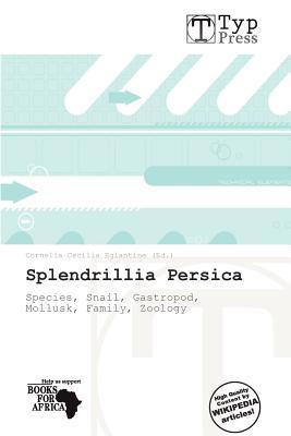 Splendrillia Persica