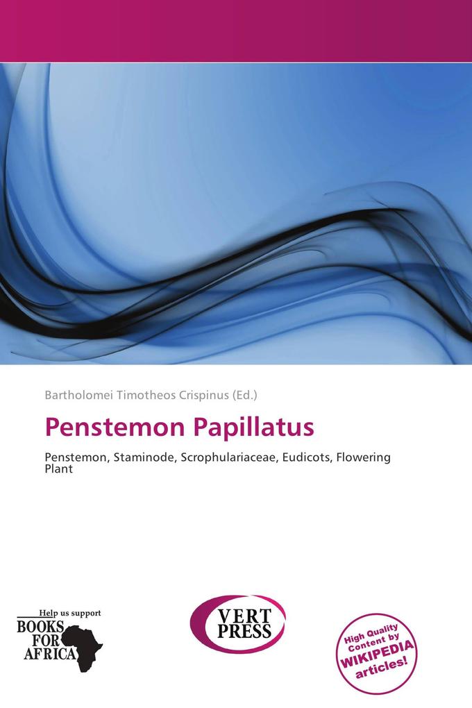 Penstemon Papillatus