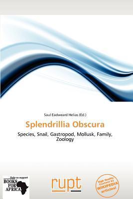 Splendrillia Obscura
