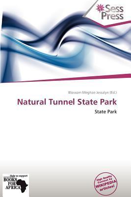 Natural Tunnel State Park