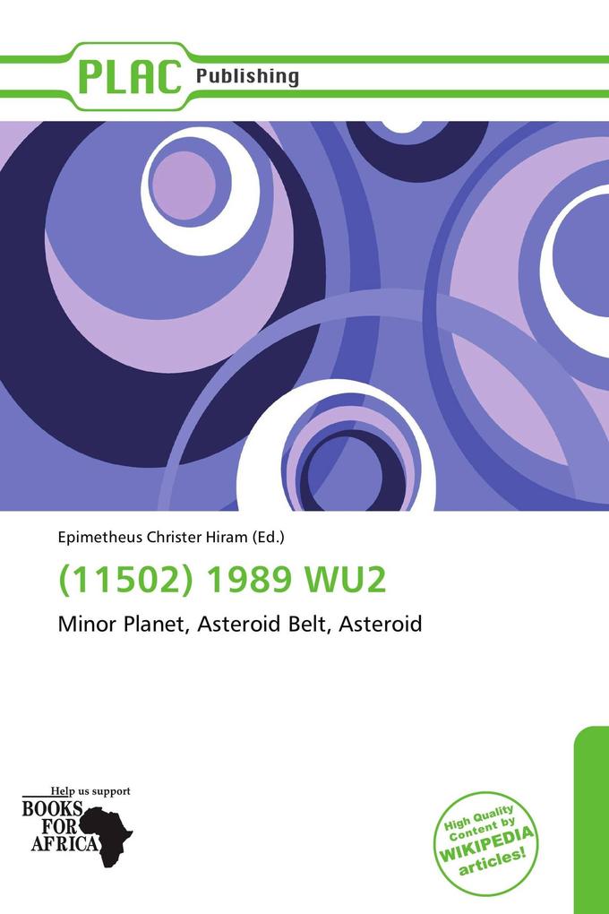(11502) 1989 WU2
