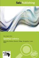 Spodnja Lonica