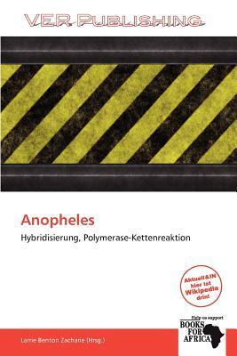 Anopheles