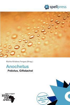 Anochetus