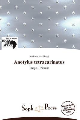 Anotylus tetracarinatus