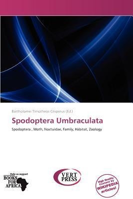 Spodoptera Umbraculata