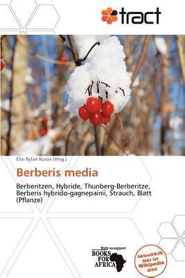 Berberis media