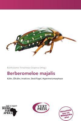 Berberomeloe majalis