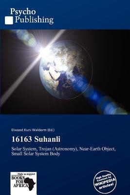 16163 Suhanli
