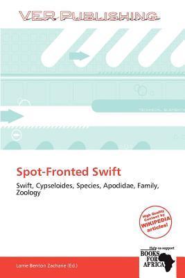 Spot-Fronted Swift
