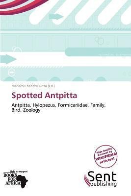 Spotted Antpitta