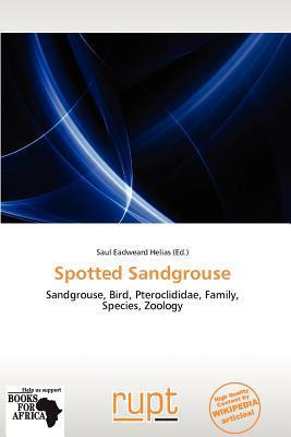Spotted Sandgrouse