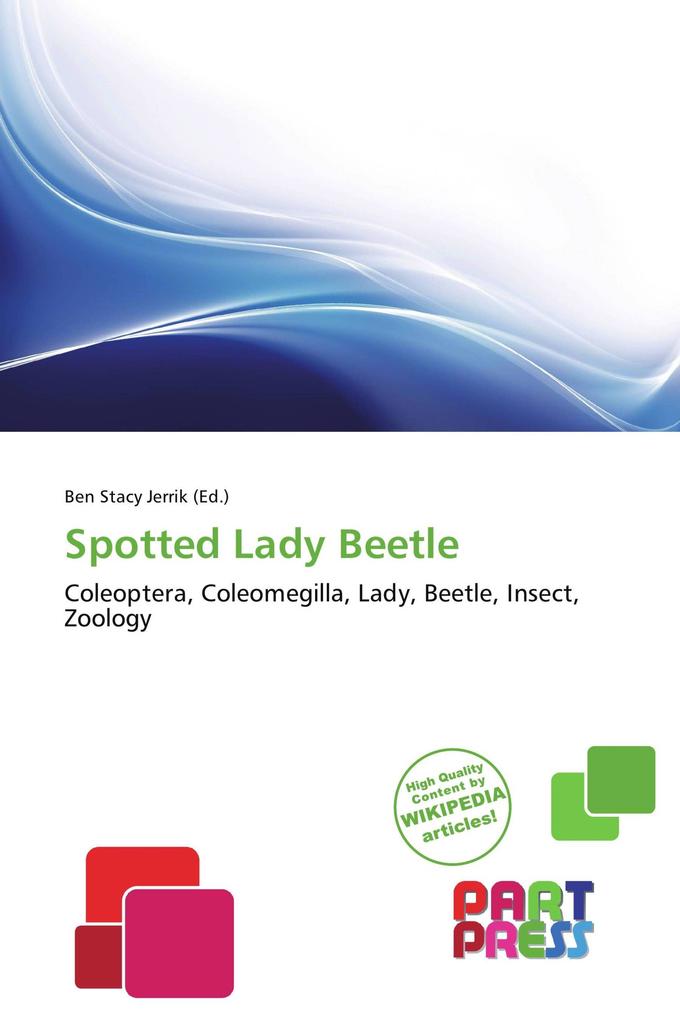 Spotted Lady Beetle