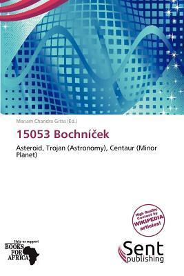 15053 Bochníek