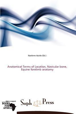 Navicular Bone