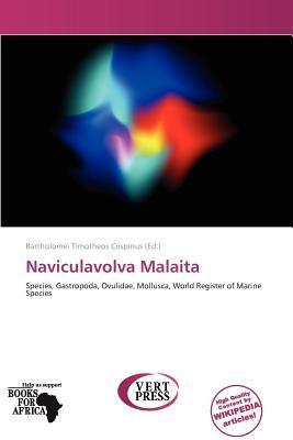 Naviculavolva Malaita