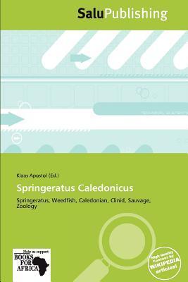 Springeratus Caledonicus