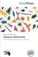 Teleiopsis albifemorella