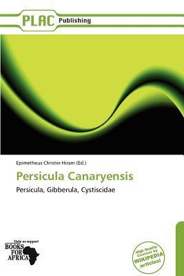 Persicula Canaryensis