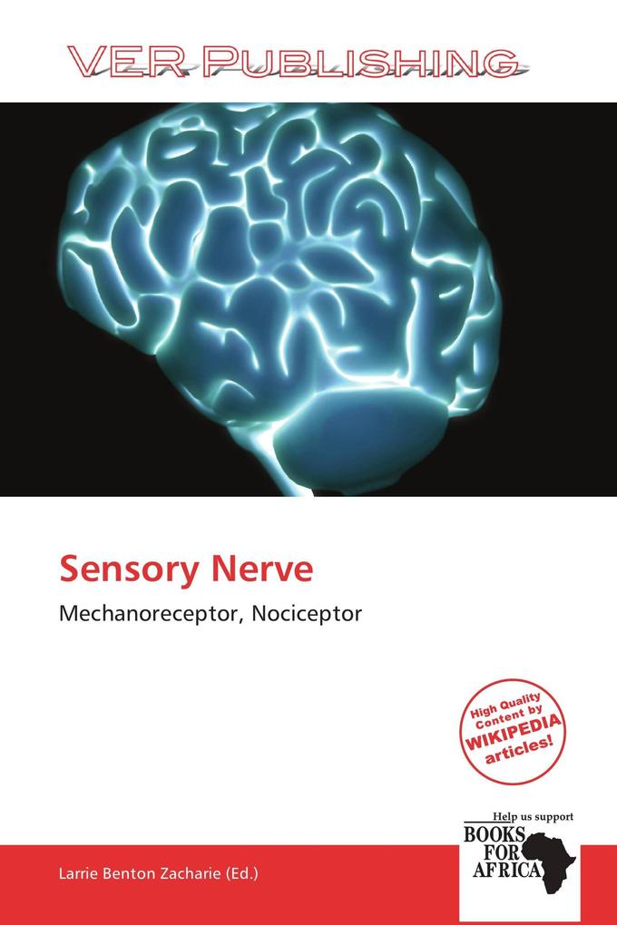 Sensory Nerve