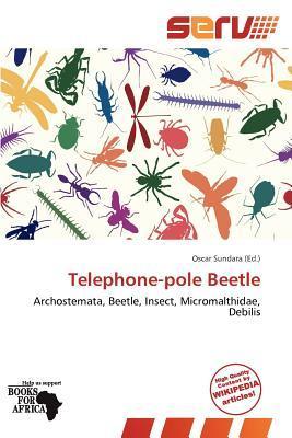 Telephone-pole Beetle