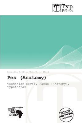 Pes (Anatomy)